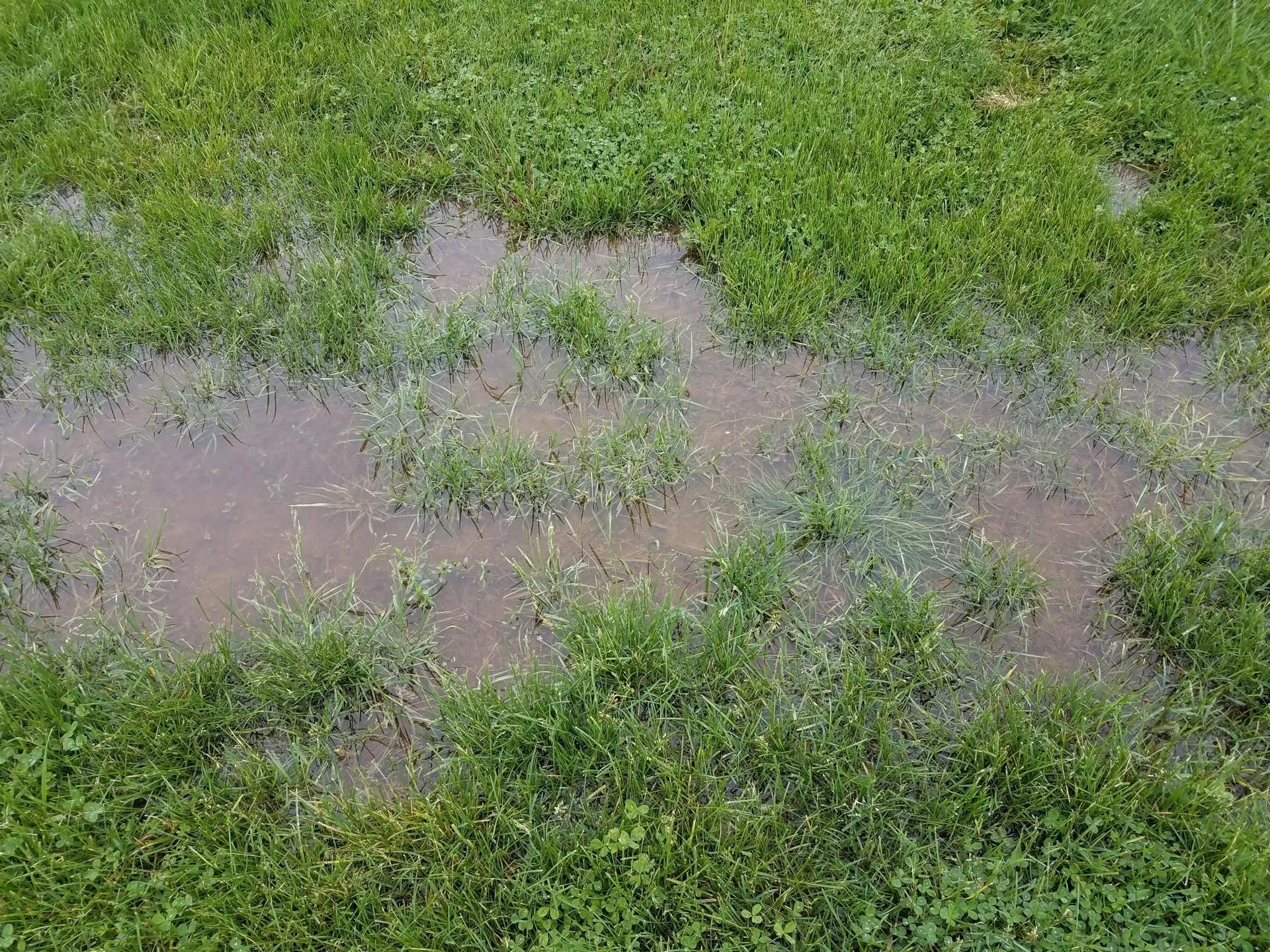 drainage services