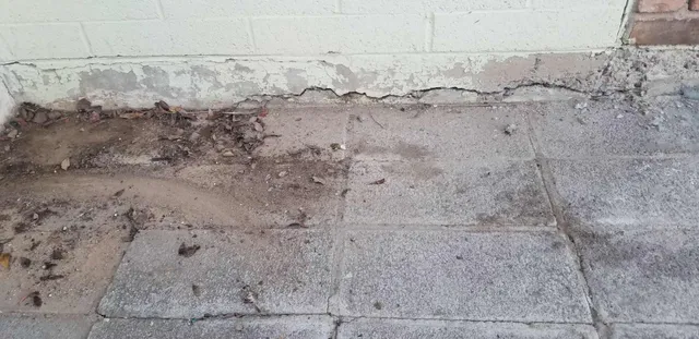 foundation damage